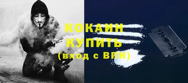 ГАЛЛЮЦИНОГЕННЫЕ ГРИБЫ Абаза
