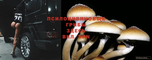 PSILOCYBIN Абинск