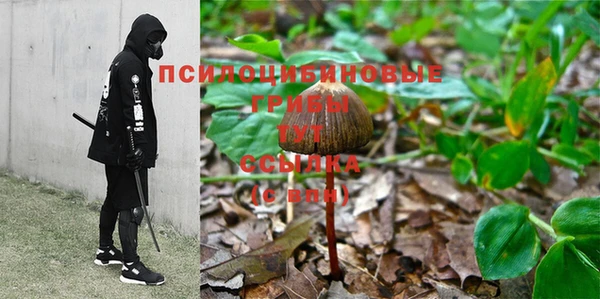 мескалин Сафоново