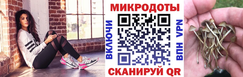 гидра маркетплейс  наркотики  Каменногорск  Псилоцибиновые грибы прущие грибы 